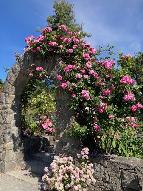 VanDusen Garden