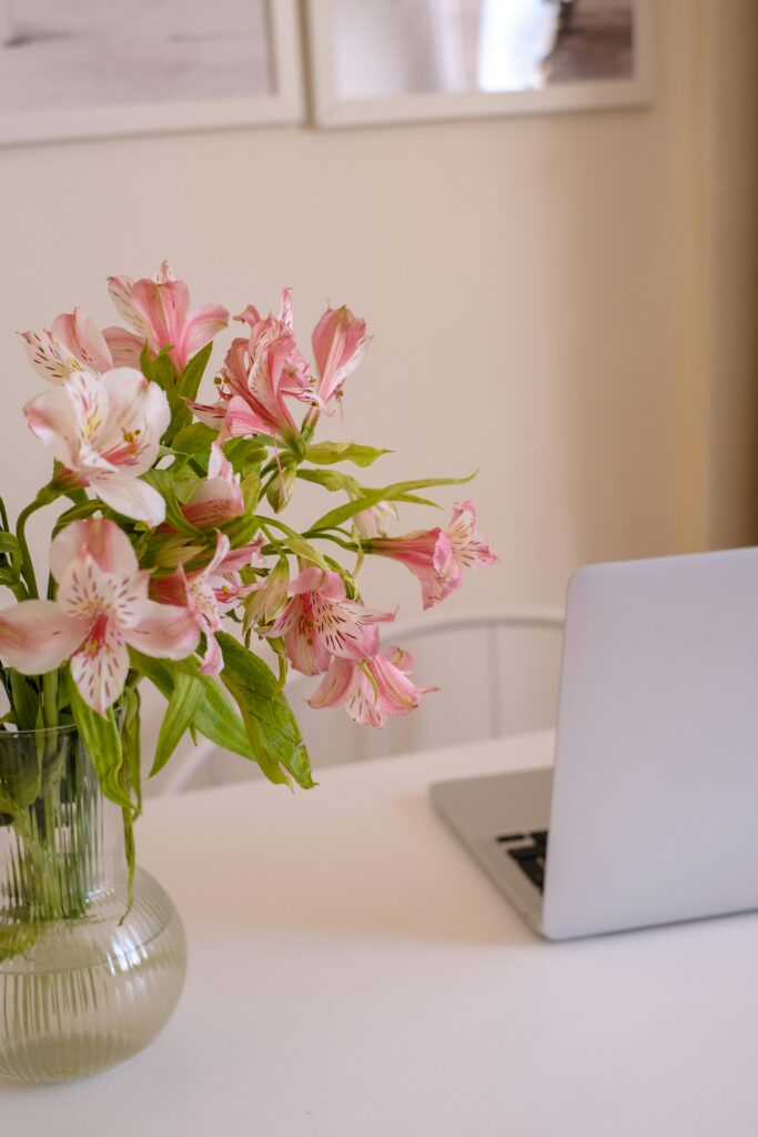 Online Japanese Counselling