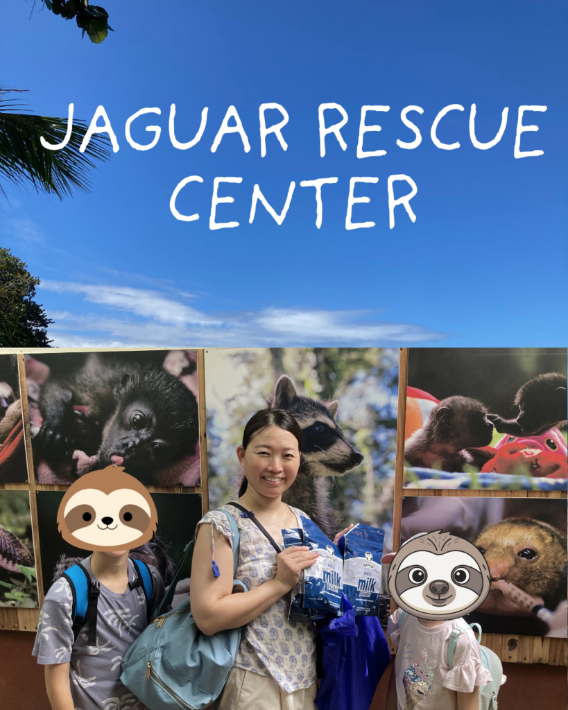 Jaguar Rescue Center
