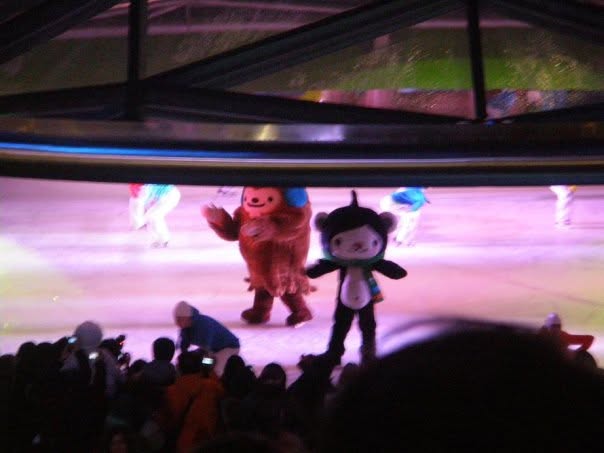 Vancouver Winter Olympics
